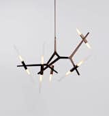 Roll & Hill Agnes Chandelier - 10 Lights