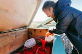 Our 15 Favorite Stories of 2023 - Photo 4 of 15 - 