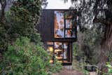 While the original house had a full glass facade, the addition uses windows in specific areas to draw your attention to the smaller details.