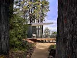 Boyer first visited the site in 2018 for the redesign. Having grown up in the area, it was awful to see the devastating effects of the fire, but there were also signs of regrowth just a year later. “The redwoods had started to grow a little fuzzy green against the charred black [bark],” says Boyer. “It was kind-of promising. It felt hopeful that nature was coming back so quickly.”