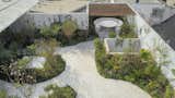Aerial view of rooftop garden