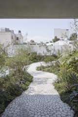 View from bedroom to garden