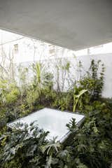 Integrated skylights for the floor below 