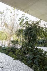 Roof partially overhanging the garden